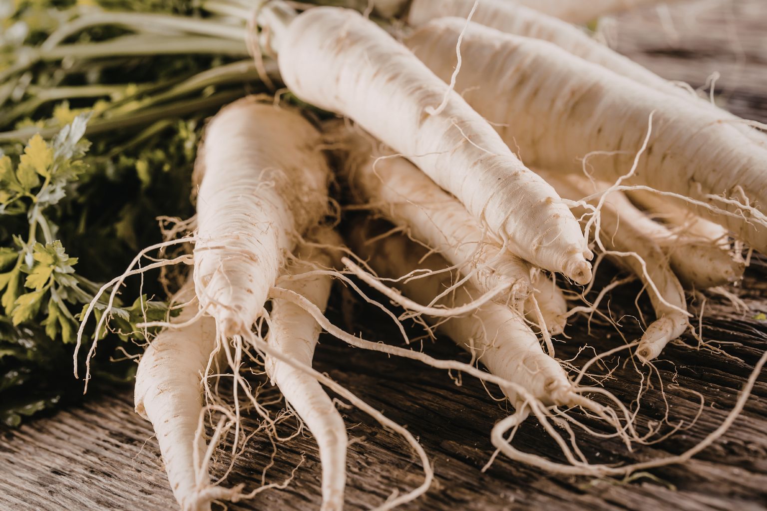 Léčivé kořeny